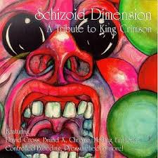 Schizoid Dimension