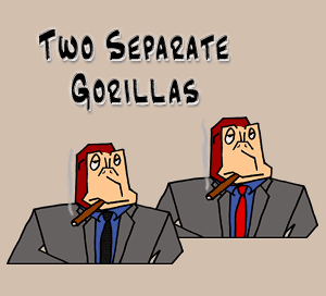 2 Separate Gorillas