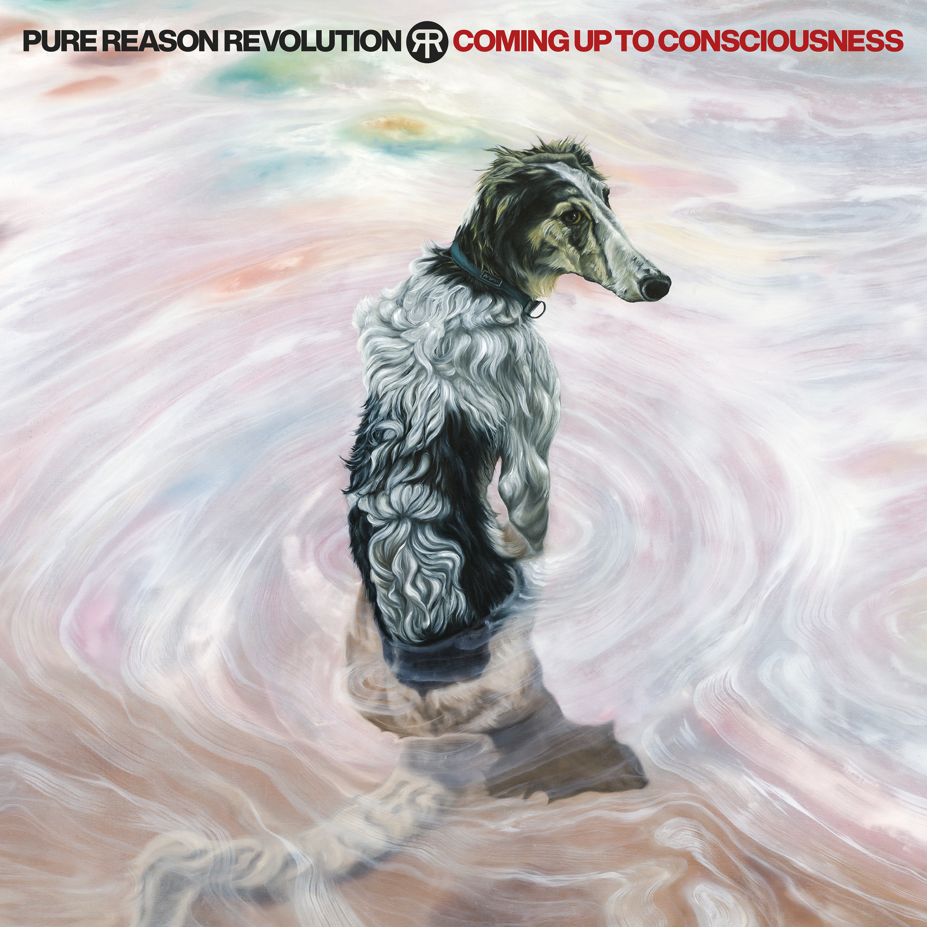 Coming Up To Consciousness